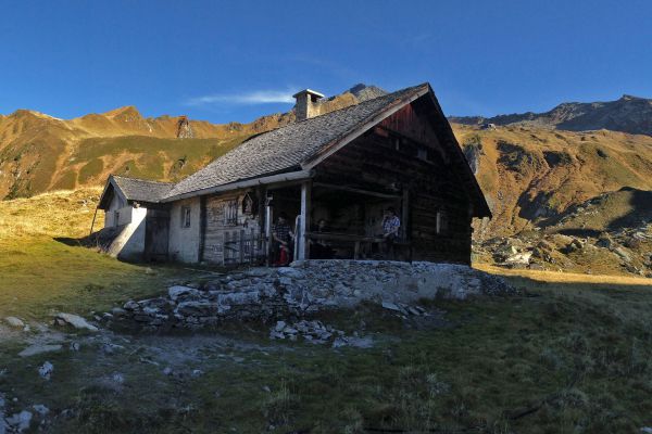 naturpark_sommer_ahorn_alpenrosenalm-foto_naturpark_zillertaler_alpen.jpg