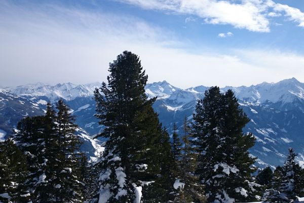 DSC_0509.JPG