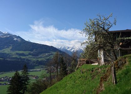 DSC_5370.JPG