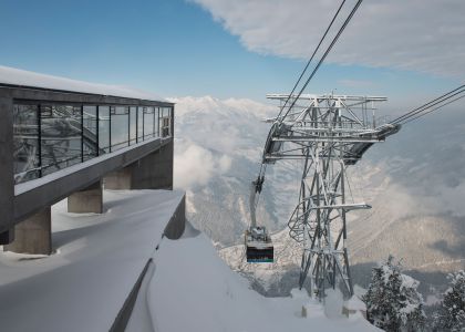 winter_ahorn-foto_frank_bauer.jpg